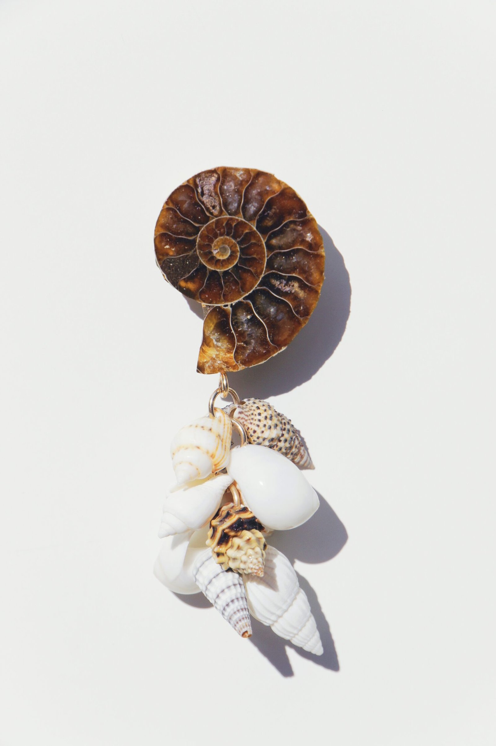 Handmade Earrings, Ammonite, Shells, Shark teeth, Jewelry, Oana Savu DSC08462 scaled Oana Savu