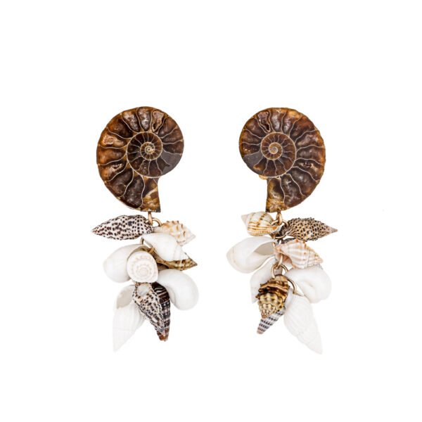 Sea`s Treasures Brown