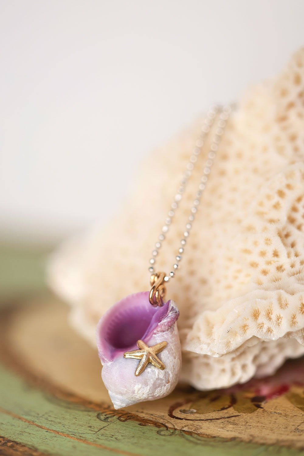Shell Enigma Oana Savu Shell Enigma - Image 2