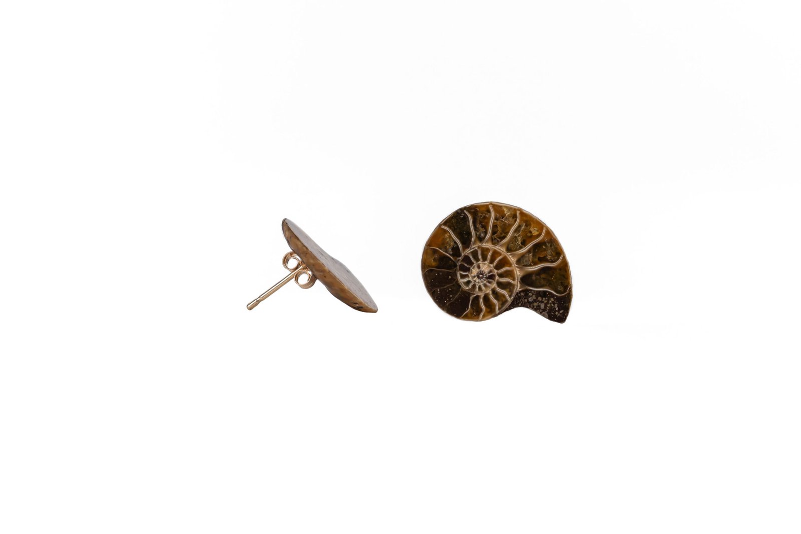 Tiny Ammonite Oana Savu Handmade small earrings made out of ammonite fossils and gold ear-studs. It is a perfect gift for a women's birthday anniversary!