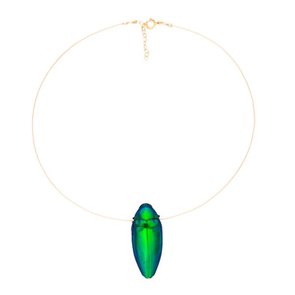 Shop Oana Savu Floating Beetle