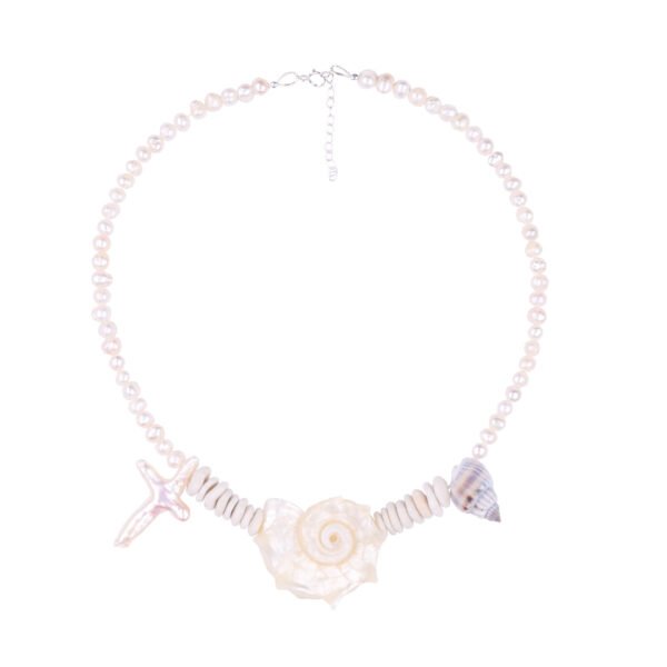 Sea shells necklace. This handmade one of a kind necklace has an unique big shell as a center piece, freshwater pearls, 2 special and rare shells and tiny sand dollars which I handpicked from a beach in Knokke Heist Belgium. It has a sterling silver clasp and extension chain. This necklaces collection is perfect for your summer escape.