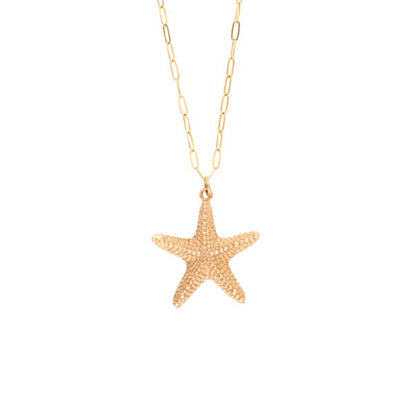 Handmade gold filled necklace with sea star pendant. Yellow Gold chain necklace with big sea star pendant. Summer holiday necklace, neck-wear.