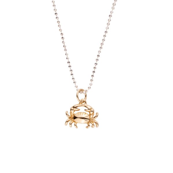 Handmade gold filled necklace with a crab pendant. Yellow Gold chain necklace with a crab pendant. Summer holiday necklace, neck-wear.