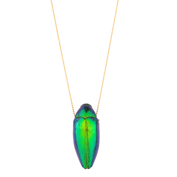 Shop Oana Savu Handcrafted scarab necklace featuring a genuine scarab beetle pendant, filled with jewelry clay. The necklace has a an elegant balls chain designs and it is crafted from sterling silver. The vibrant emerald-green beetle, sustainably sourced and recycled from a restaurant in Thailand, makes this eco-friendly piece a unique and ethical statement accessory. Perfect for the Holiday season as a distinctive gift or elegant addition to your jewelry collection.