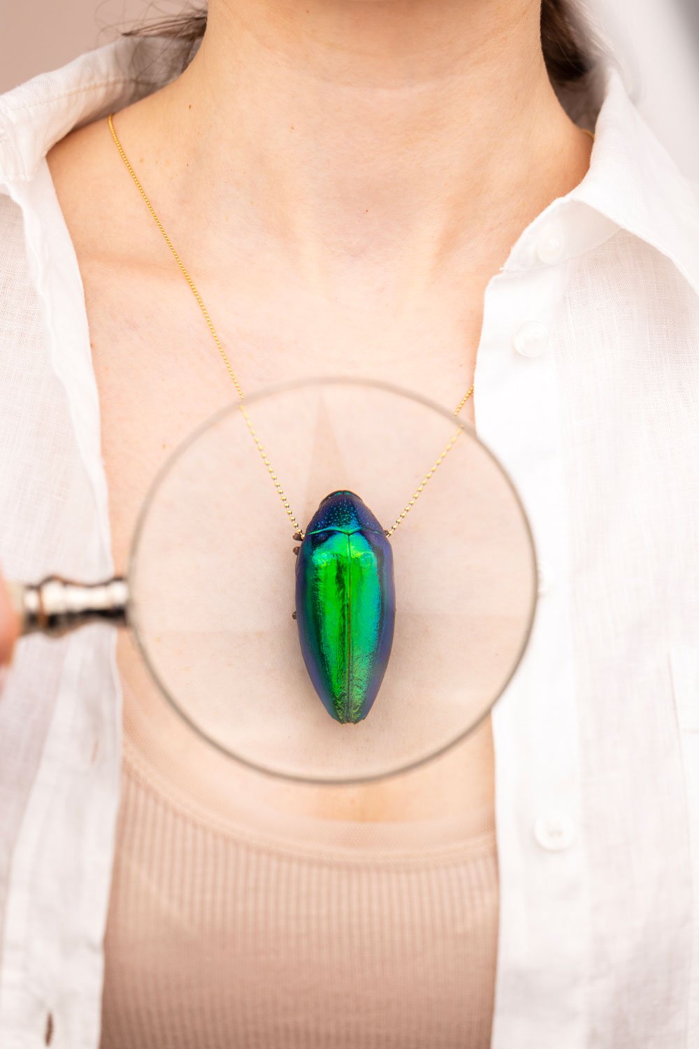 real beetle scarab insect necklace Oana Savu