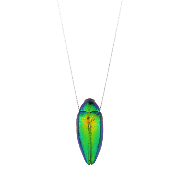 Shop Oana Savu Handcrafted green scarab necklace featuring a genuine scarab beetle pendant, filled with jewelry clay. The necklace has a an elegant balls chain designs and it is crafted from sterling silver. The vibrant emerald-green beetle, sustainably sourced and recycled from a restaurant in Thailand, makes this eco-friendly piece a unique and ethical statement accessory. Perfect for the Holiday season as a distinctive gift or elegant addition to your jewelry collection.