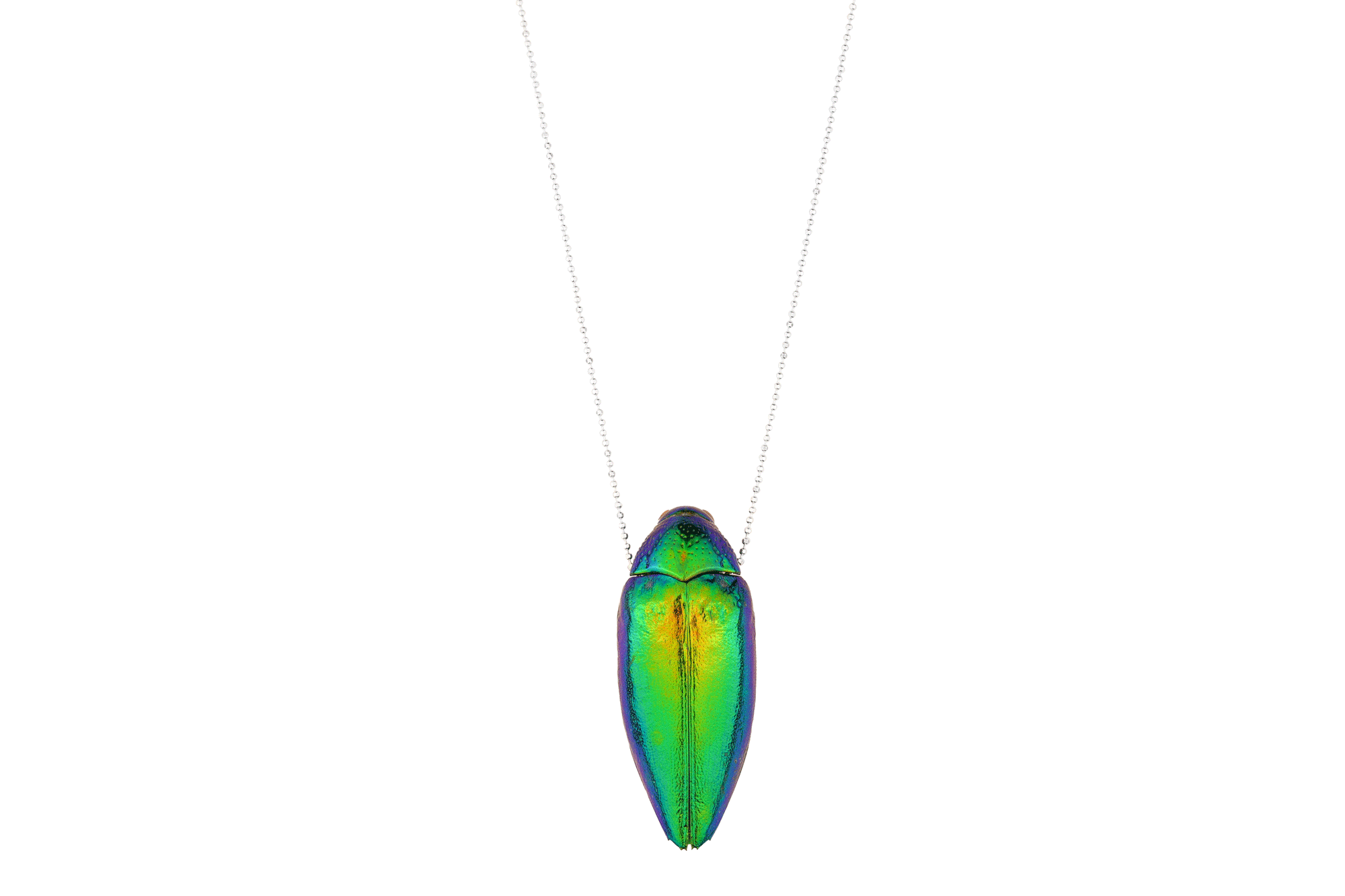 Vibrant Green Scarab on Silver Chain Oana Savu Handcrafted green scarab necklace featuring a genuine scarab beetle pendant, filled with jewelry clay. The necklace has a an elegant balls chain designs and it is crafted from sterling silver. The vibrant emerald-green beetle, sustainably sourced and recycled from a restaurant in Thailand, makes this eco-friendly piece a unique and ethical statement accessory. Perfect for the Holiday season as a distinctive gift or elegant addition to your jewelry collection.