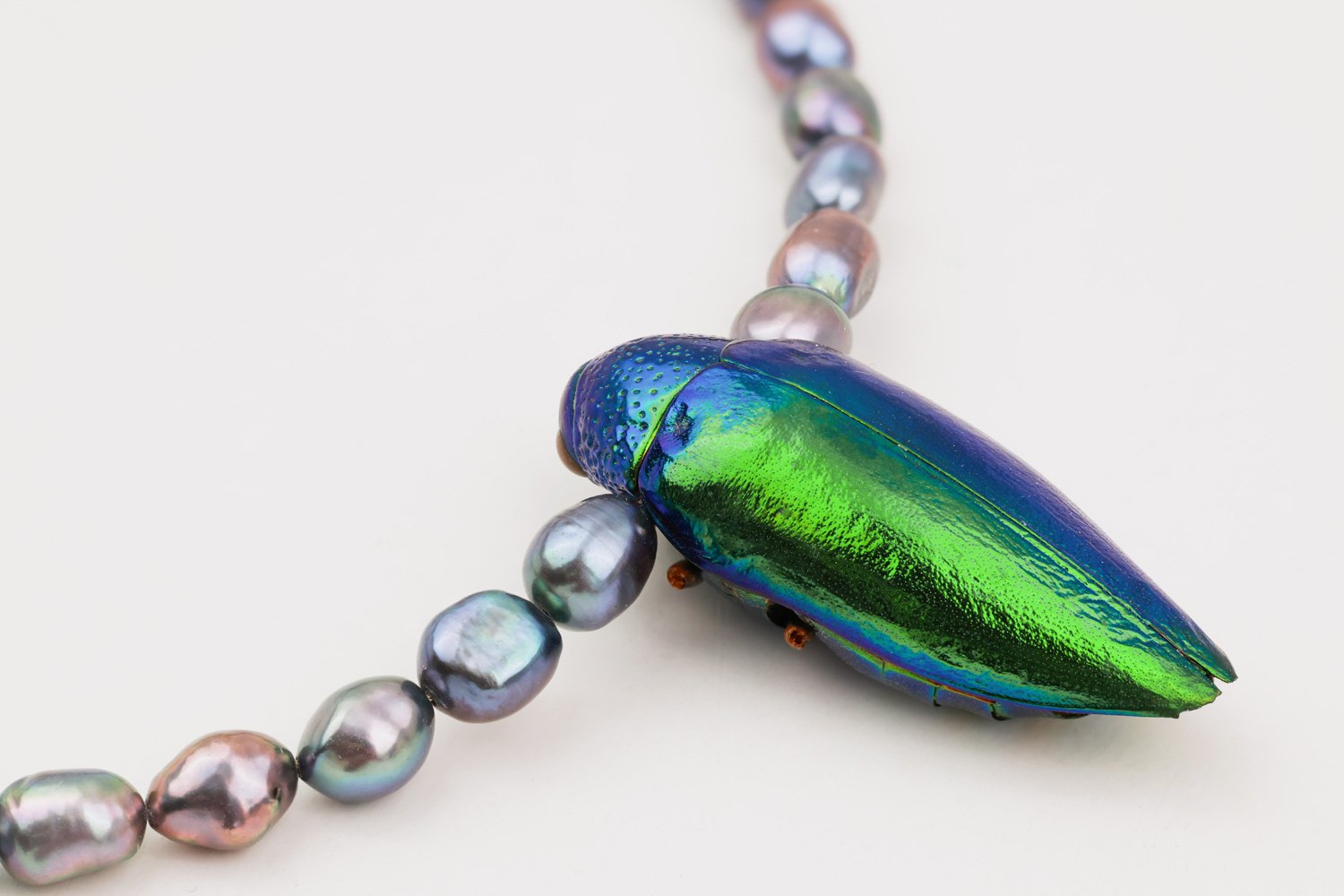 Twilight Beetle Oana Savu Twilight Beetle - Image 4
