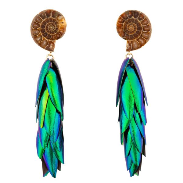 Large ammonite earrings showcasing detailed spiral fossils with warm colors and iridescent beetle wings, handmade by oana savu