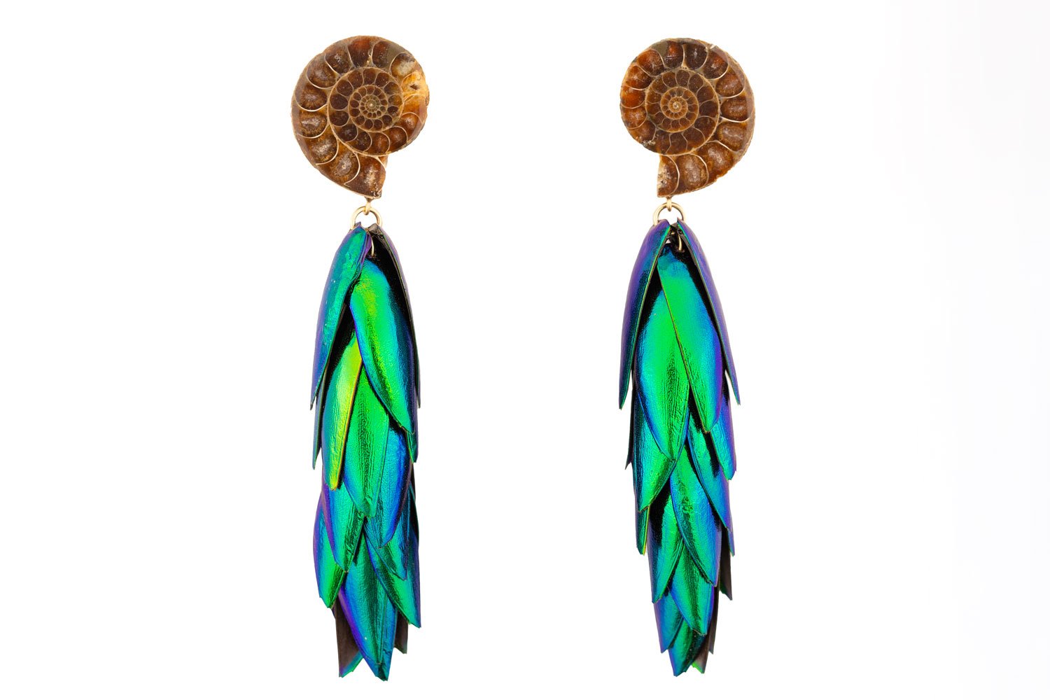 Beetle Earrings Ammonite - Large Oana Savu Large ammonite earrings showcasing detailed spiral fossils with warm colors and iridescent beetle wings, handmade by oana savu