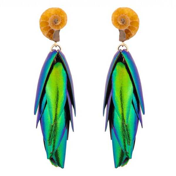 Small ammonite fossil earrings with natural spiral patterns on a white background