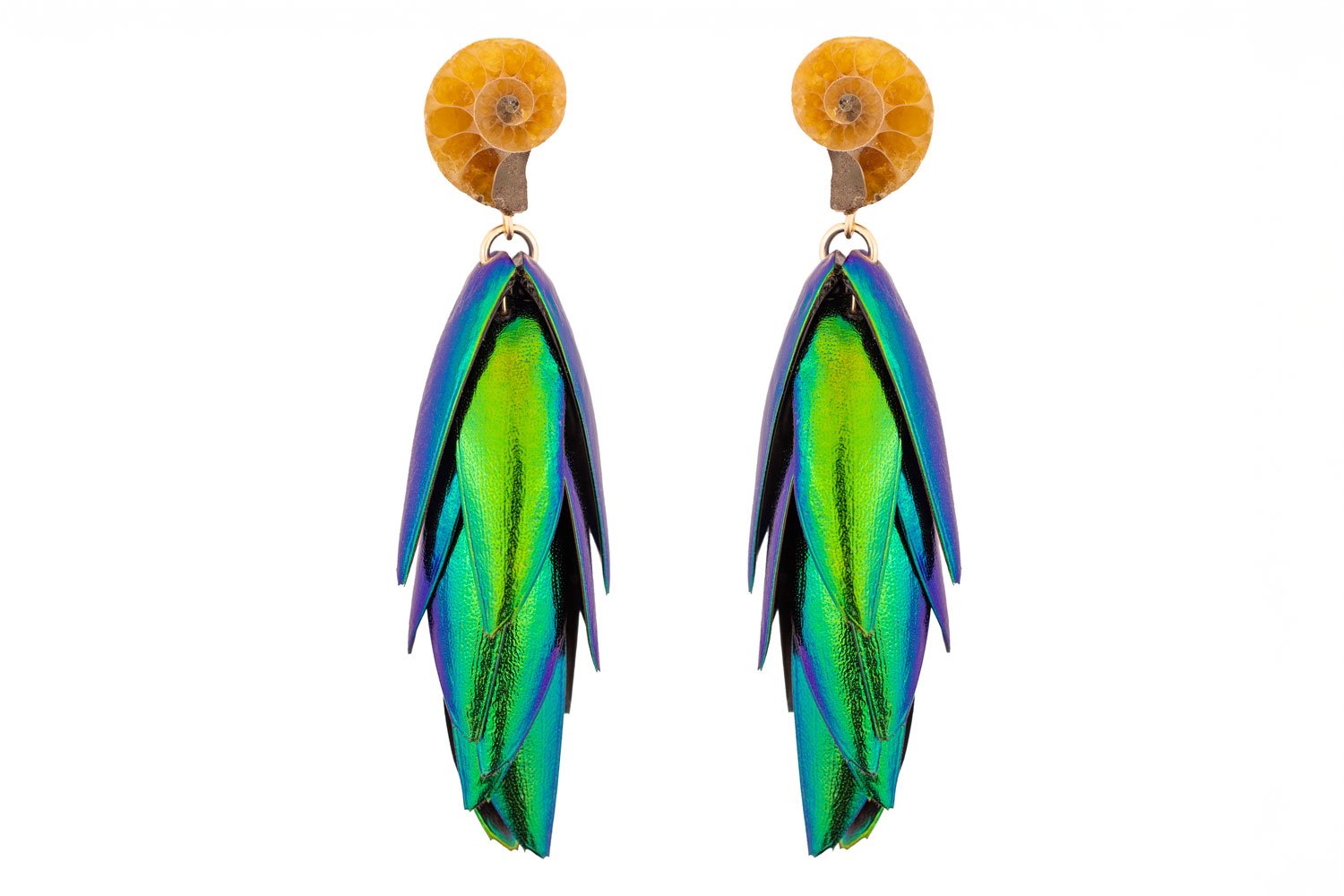 Beetle Earrings Ammonite - Small Oana Savu Small ammonite fossil earrings with natural spiral patterns on a white background