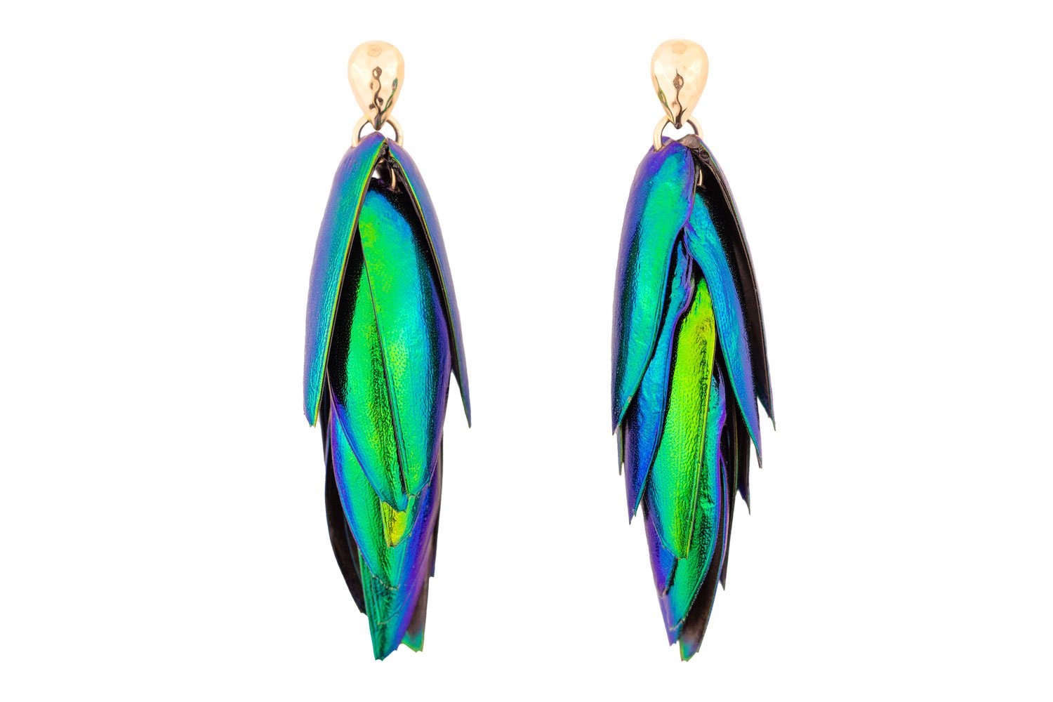 Beetle Earrings Drop Ear Studs - Short Oana Savu Luxury beetle wings with gold filled ear studs on a white background