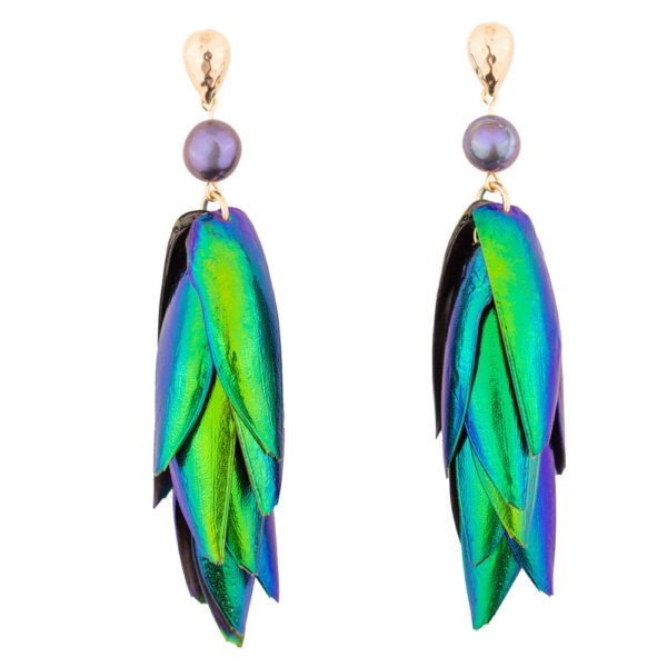 Beetle wings earrings with iridescent peacock pearls and gold accents