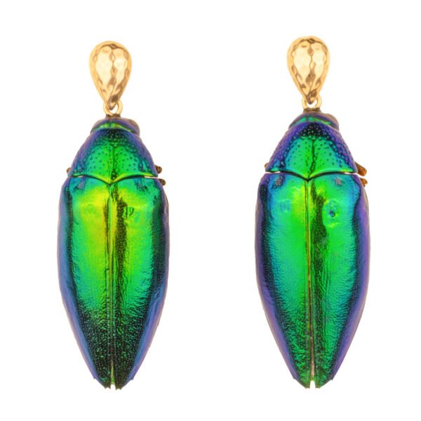 Long statement beetle wings earrings with gold filled studs