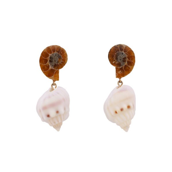 special earrings ammonite and shells handmade by oana savu a rare and special jewelry perfect for any outfit