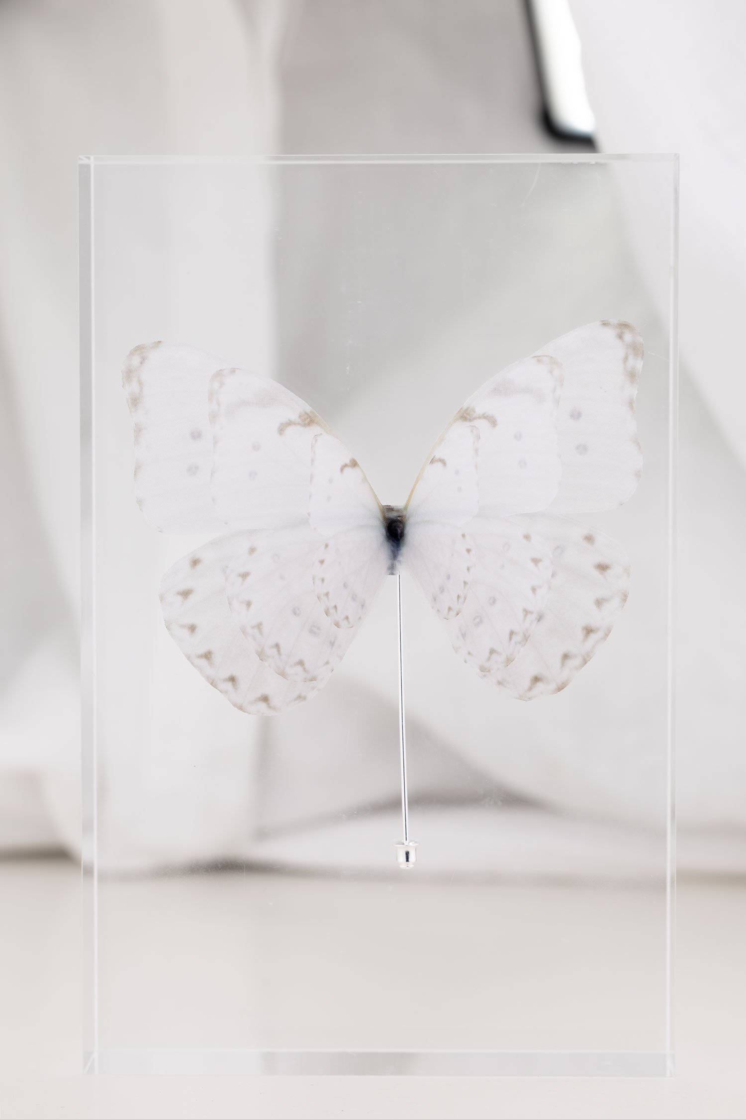 Butterfly Brooch - Off White Oana Savu Butterfly Brooch - Off White - Image 3