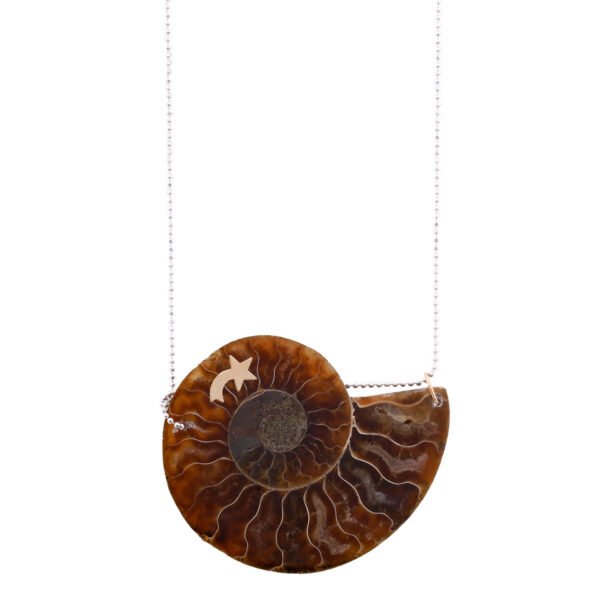 Shop Oana Savu ammonite pendant made with ammonite fossile, 14k gold charm , sterling silver chain, a beautiful ammonite necklace easy to wear and perfect for any outfit designed by oana savu