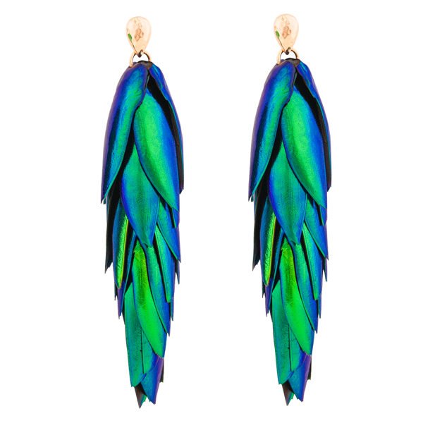 Beetle Earrings Drop Ear Studs - Long
