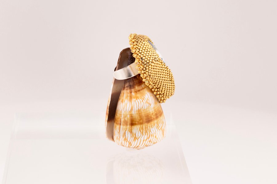 Nautilus Ring - Gold Oana Savu Nautilus Ring - Gold - Image 5