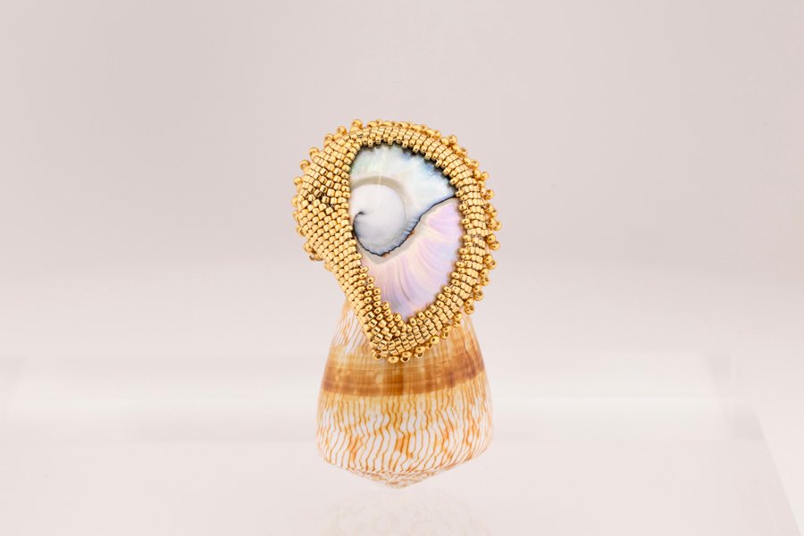 Nautilus Ring - Gold Oana Savu Nautilus Ring - Gold - Image 4