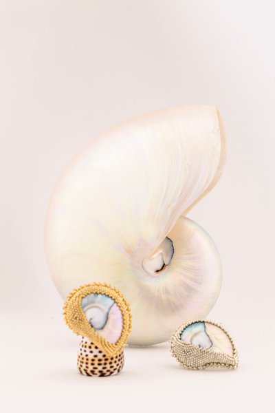 Nautilus Ring - Gold Oana Savu Nautilus Ring - Gold - Image 3